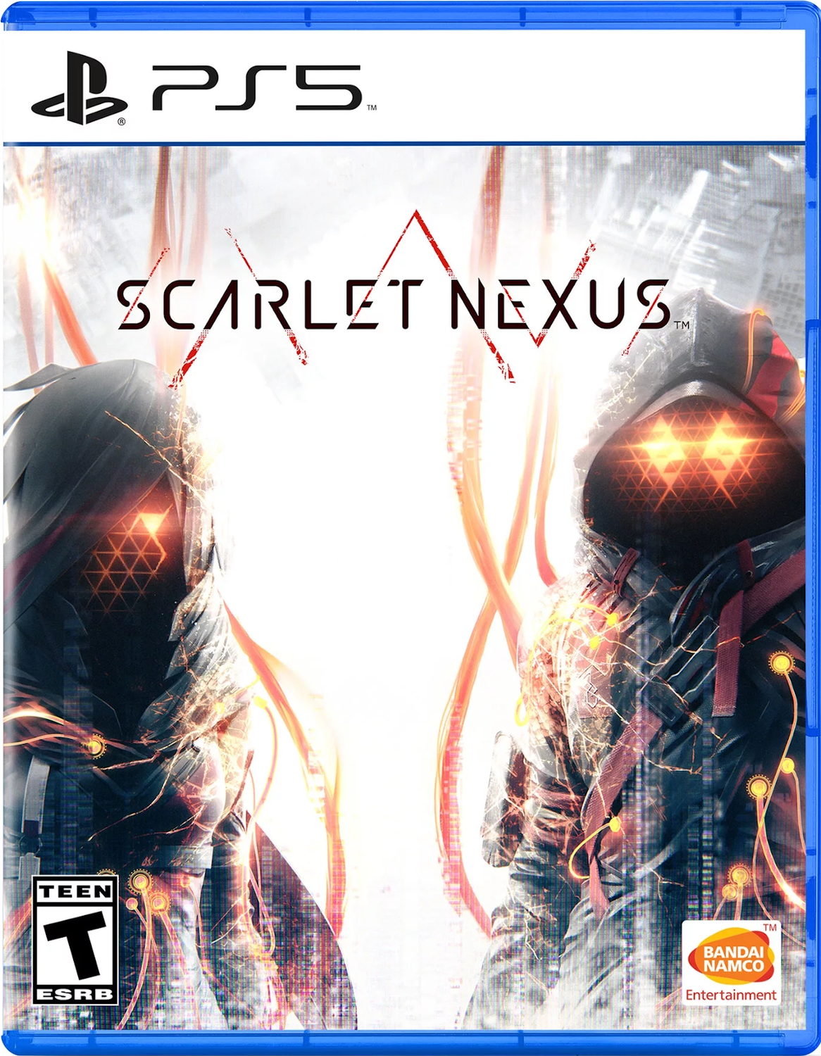 25463310