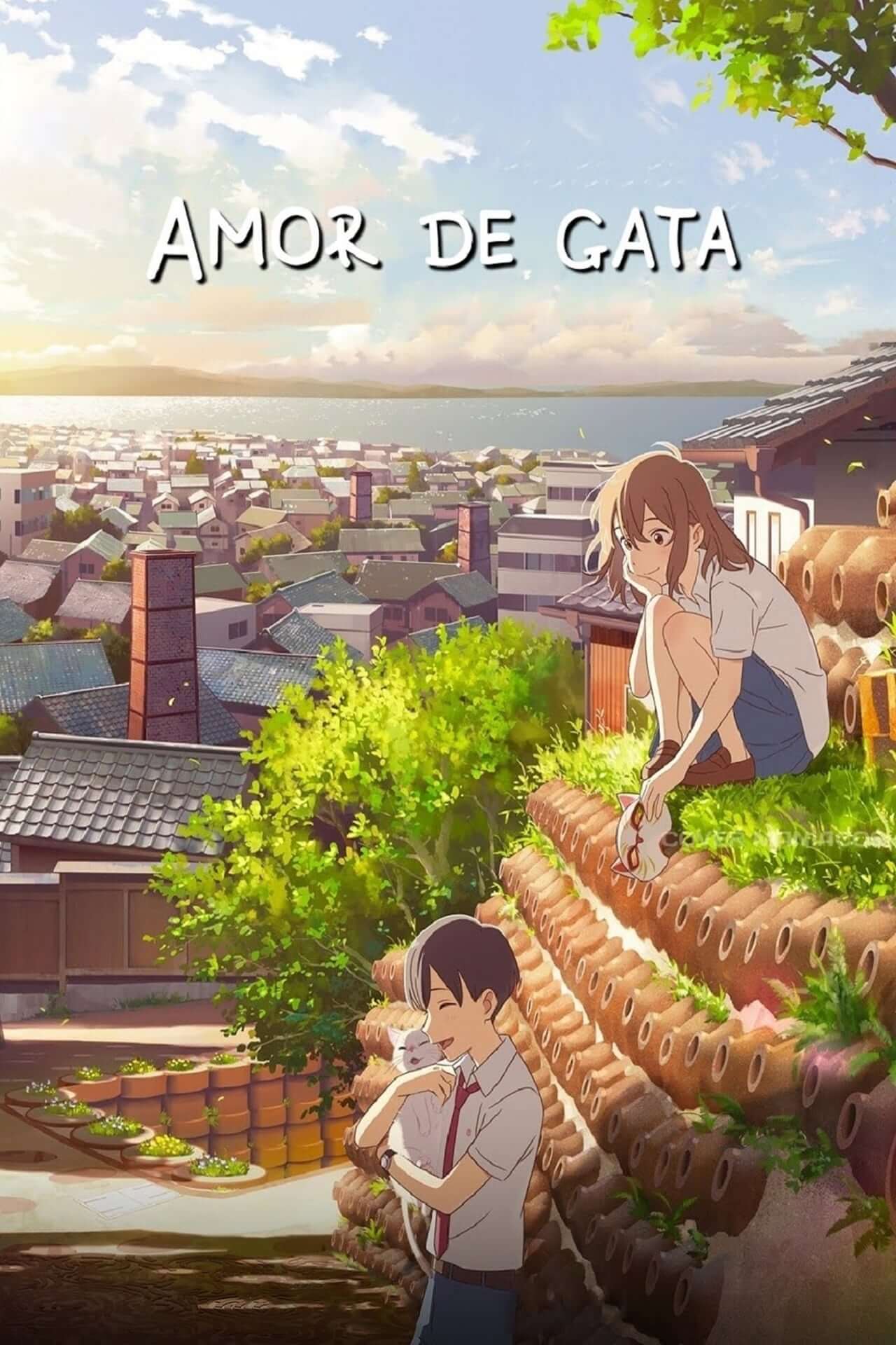 Amor De Gata