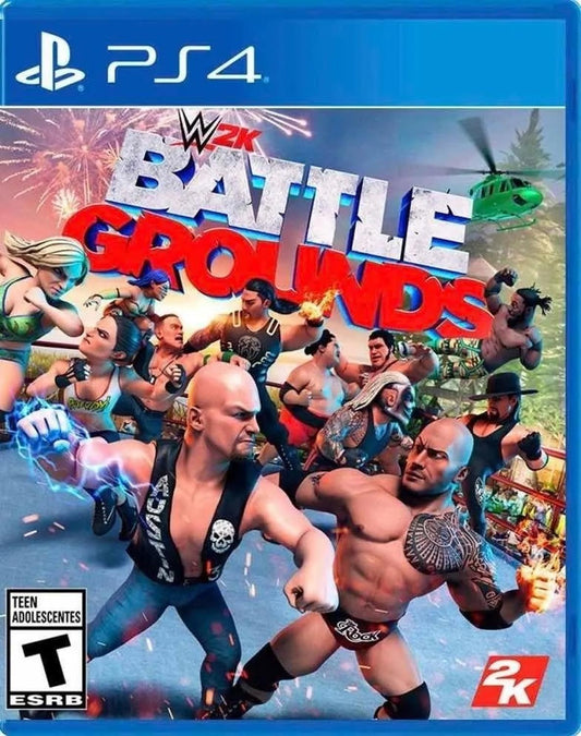 25463374